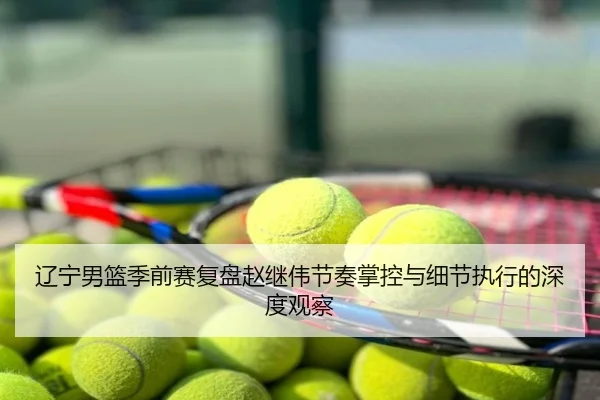 辽宁男篮季前赛复盘赵继伟节奏掌控与细节执行的深度观察